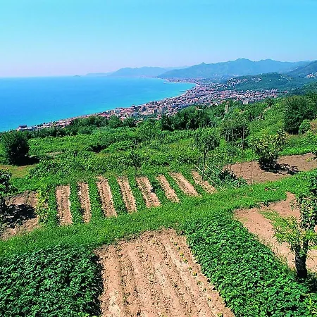 Ligure